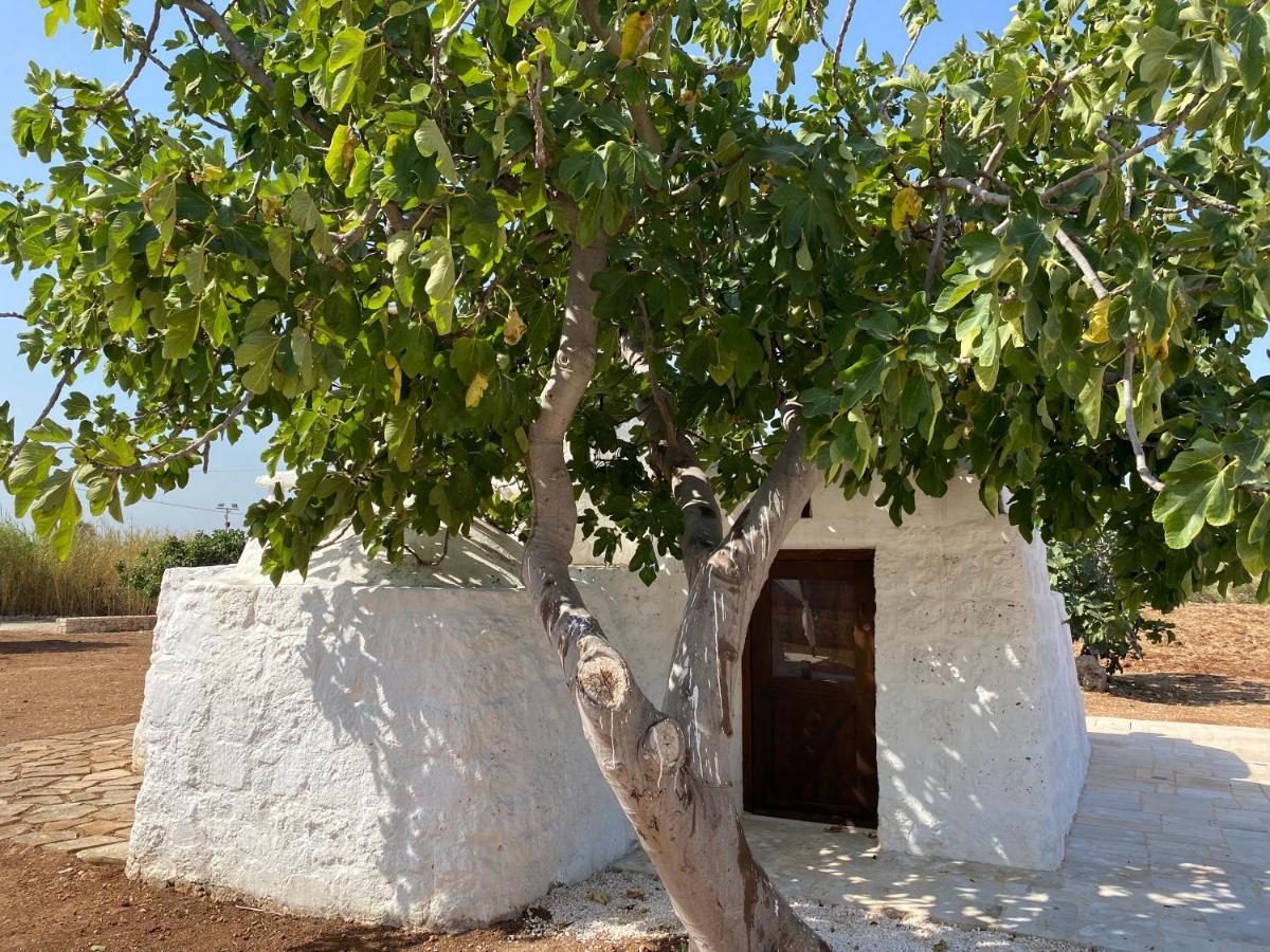 Вілла Trullo Seaside Polignano Поліньяно-а-Маре Екстер'єр фото